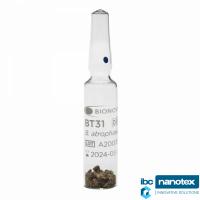 BT31 biološki indikator. 72 sata. Vazdušna sterilizacija (suvi sterilizator/sterilizacija toplim zrakom). Bionova Terragene